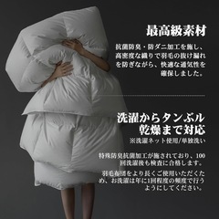 ダブル 洗える羽毛布団 ダックダウン85%の画像