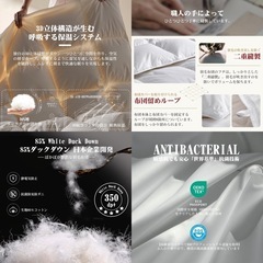 ダブル 洗える羽毛布団 ダックダウン85%の画像