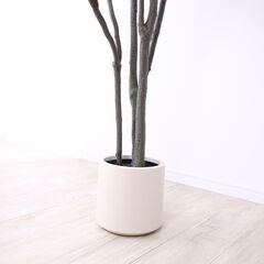 【未使用品】【かなり大型】リアル 光触媒 フェイクグリーン ドラセナ 215cm おしゃれ 人工観葉植物の画像