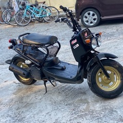 Honda zoomer の画像