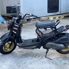Honda zoomer の画像