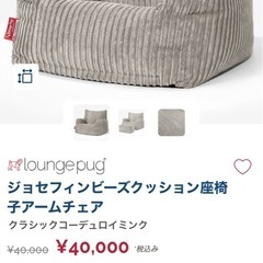 lounge pug   ビーズクッションの画像