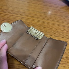 マイケルコースキーケースの画像