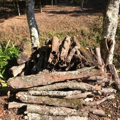 【無料】丸太、薪の画像