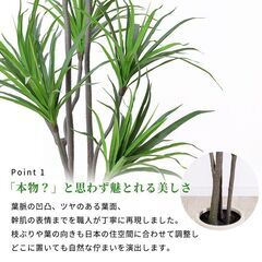 【未使用品】【かなり大型】リアル 光触媒 フェイクグリーン ドラセナ 215cm おしゃれ 人工観葉植物の画像