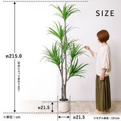 【未使用品】【かなり大型】リアル 光触媒 フェイクグリーン ドラセナ 215cm おしゃれ 人工観葉植物の画像