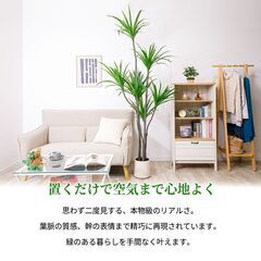 【未使用品】【かなり大型】リアル 光触媒 フェイクグリーン ドラセナ 215cm おしゃれ 人工観葉植物の画像
