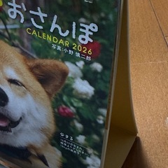 柴犬まるとおさんぽ 2026年 た卓上カレンダーの画像