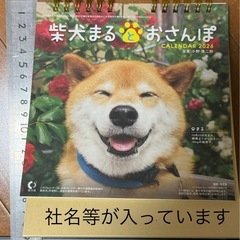 柴犬まるとおさんぽ 2026年 た卓上カレンダーの画像