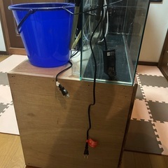 900スリムオールガラス水槽フルセットの画像