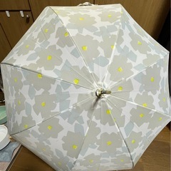 女性用雨傘の画像