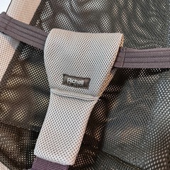 Richell バウンサーの画像