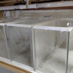 水槽展示タワーの画像