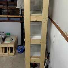 水槽展示タワーの画像