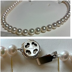 美品　あこや花珠真珠ネックレス 7.5-8.0mm silver刻印　鑑別書付 アコヤ花珠パール 本真珠ネックレスの画像