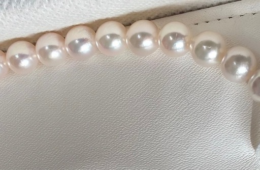 美品　あこや花珠真珠ネックレス 7.5-8.0mm silver刻印　鑑別書付 アコヤ花珠パール 本真珠ネックレス