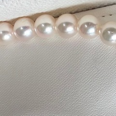 美品　あこや花珠真珠ネックレス 7.5-8.0mm silver刻印　鑑別書付 アコヤ花珠パール 本真珠ネックレスの画像