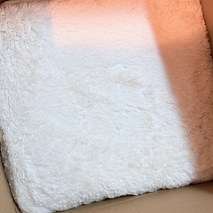 無料 ラグ カーペット 200×300cmの画像