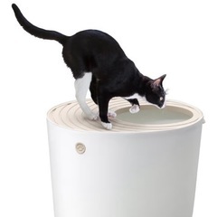 猫トイレの画像