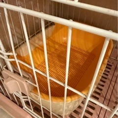 犬猫用グッズセットの画像