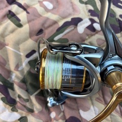 Daiwa エギングロッド&リールの画像
