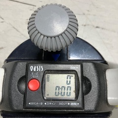 oasis オアシス　ステッパーの画像