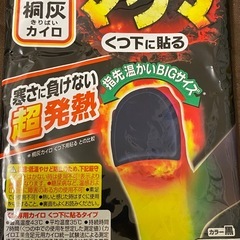 マグマくつ専用　BIGサイズ　3枚の画像