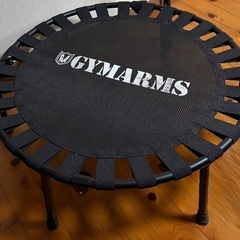 【決まりました】手すり付きトランポリン HTP-90★山善★の画像