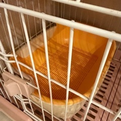 犬猫グッズセットの画像