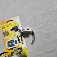 犬の ライトの画像