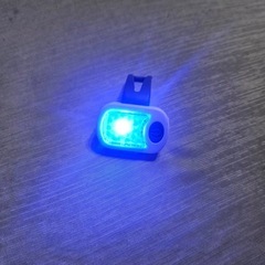 犬の ライトの画像