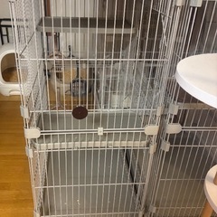(決まりました)キャットケージの画像