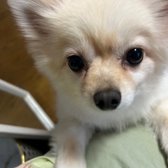 代理投稿です。