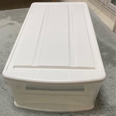 アイリスオーヤマ 衣装ケース L(74×37.6×21.2) の画像