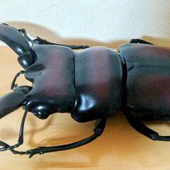 ノコギリクワガタ　MEGA　昆虫　フィギュア　BIG　大きい　特大　の画像