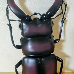 ノコギリクワガタ　MEGA　昆虫　フィギュア　BIG　大きい　特大　の画像