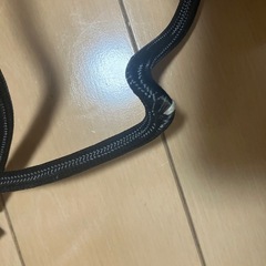 ドローアライン  ロッド　ランプ　セットの画像