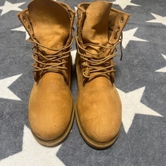 ティンバーランド26.0の画像