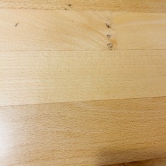 ニトリ ダイニング5点
セットの画像