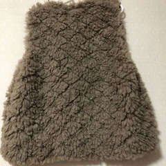 w closet ブラウンファーベストの画像