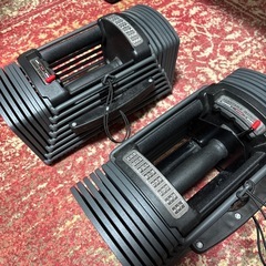 フラットベンチ+可変式ダンベルの画像