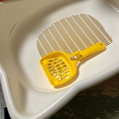 猫トイレの画像