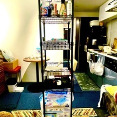 シェルフの画像