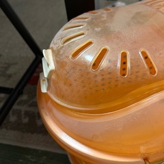 犬、猫キャリーケースの画像