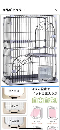 猫迎え入れセット