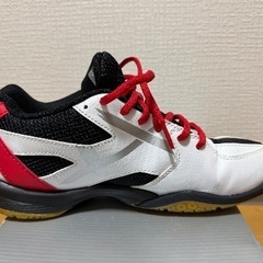 YONEX バドミントンバッシュの画像