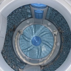 配達設置無料 特価 東芝 洗濯機 5kg 浸透パワフル洗浄 からみまセンサー 風乾燥機能付の画像