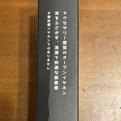 オープンイヤーの画像