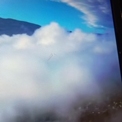 LG モニター 難ありの画像