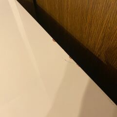 【取りに来てくれる方限定】ニトリの収納棚（120cm×95cm×42cm）の画像